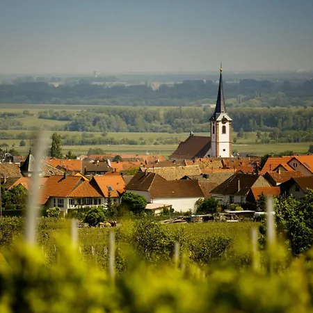 Hotel Hotel-residenz Immenhof
