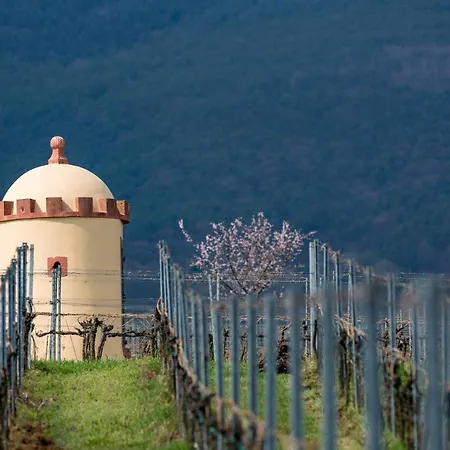 Hotel-residenz Immenhof