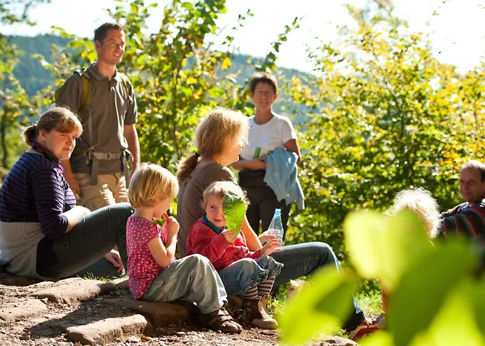 Hotel Hotel-residenz Immenhof