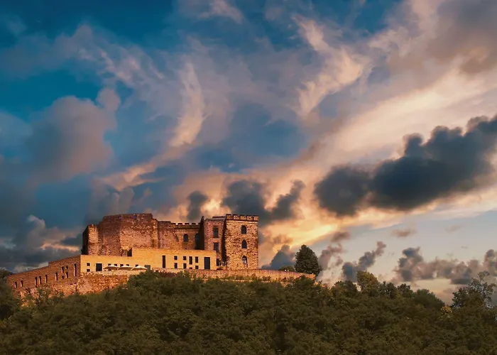 Hotel Hotel-residenz Immenhof 4*