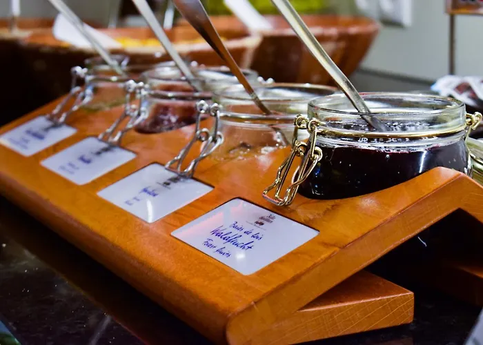 酒店 因蒙霍夫宫酒店 迈卡默