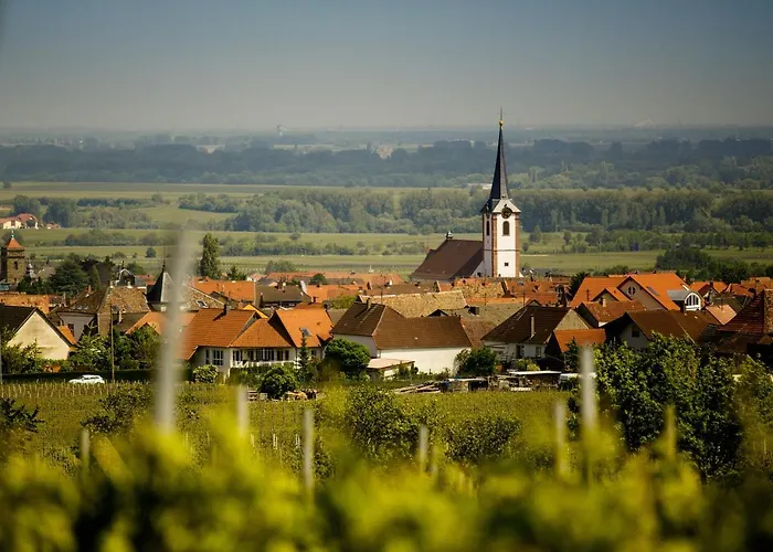 Hotel Hotel-residenz Immenhof