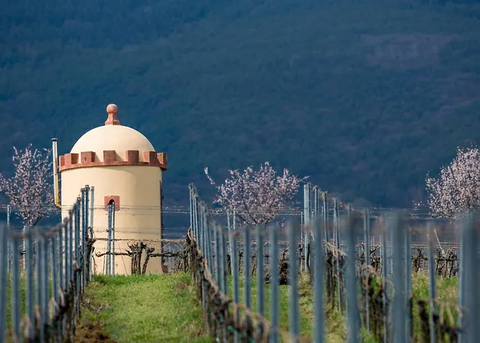 Hotel-residenz Immenhof